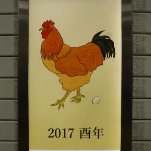 DSCF2246